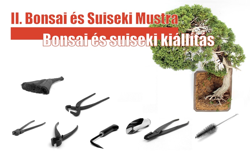 bonsai es suiseki mustra reszletes programja